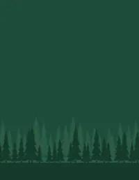 Camp Adventure background 1