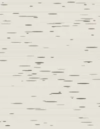 Camp Adventure background 6