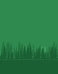Camp Adventure background 10