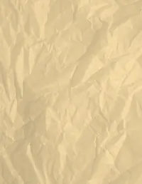 Camp Adventure background 13