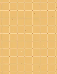 Dino Dig background 5