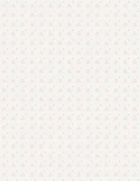 Fold and Fly background 8