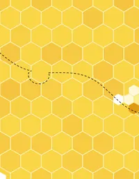 Honeycomb Hive background 6