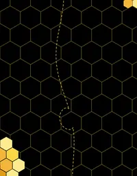 Honeycomb Hive background 10