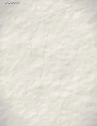 Margin Notes background 11