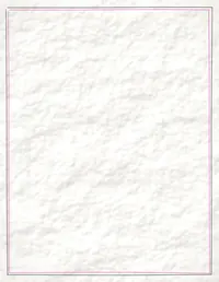Margin Notes background 13